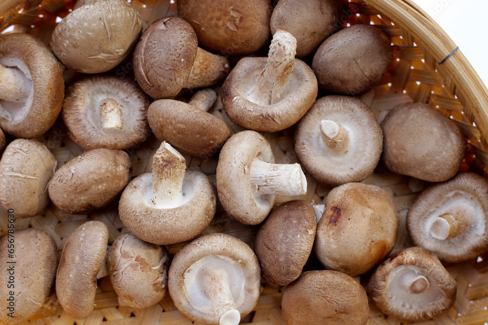 Fresh shiitake mushrooms in bamboo weave plate Fresh shiitake mushrooms in bamboo weave plate