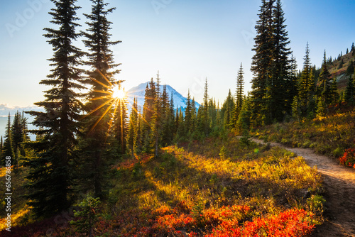 Autumn colors in Mt. Rainier National Park around Naches Peak Loop Trail photo