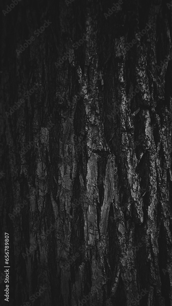 Fototapeta premium texture