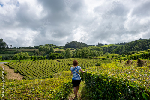 Woman walking between of the Tea plantation of Gorreana in the island of Sao Miguel, Azores, Portugal