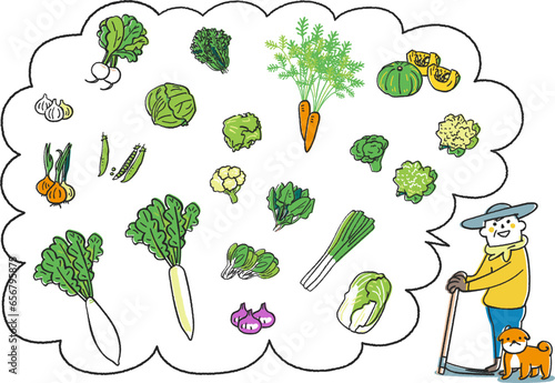 農家が語る秋冬撒き野菜　セット　イラスト素材
