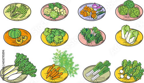 秋冬撒き野菜　ざるに乗せられた野菜の束　セット　イラスト素材
