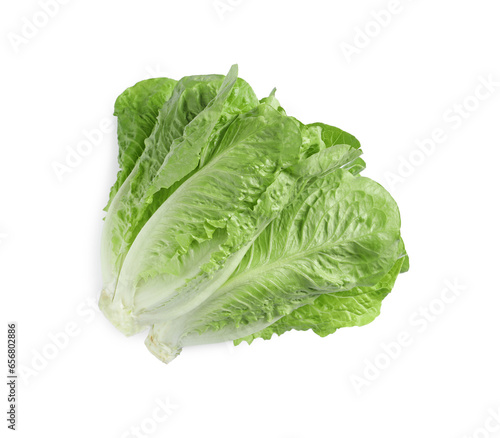 Fresh green romaine lettuces isolated on white, top view