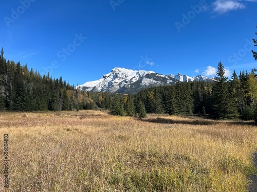 Cascade Mountain creek in Banff  © Simon J. Ouellet