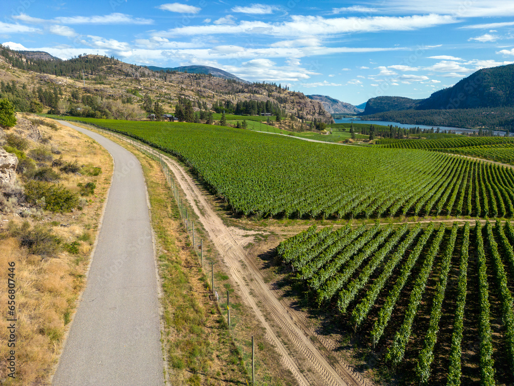 Okanagan Falls Valley British Columbia Winery Vineyard Landscape Okanagan Falls Valley British Columbia Winery Vineyard Landscape