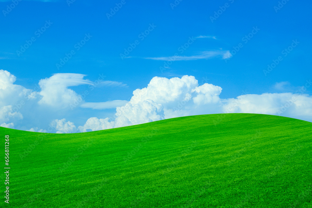 Naklejka premium Lush green grass under bright blue sky with fluffy clouds