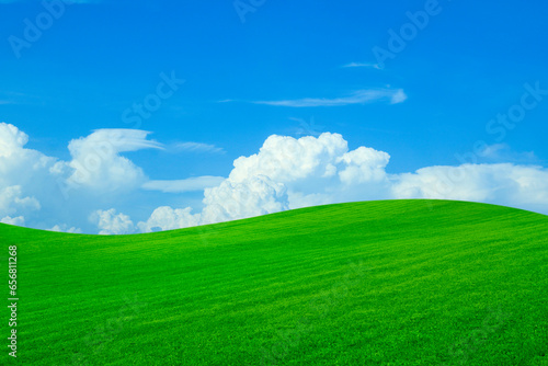 Lush green grass under bright blue sky with fluffy clouds