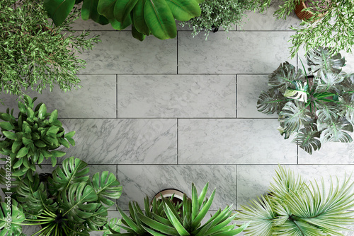 Background image of houseplants on a marble floor
