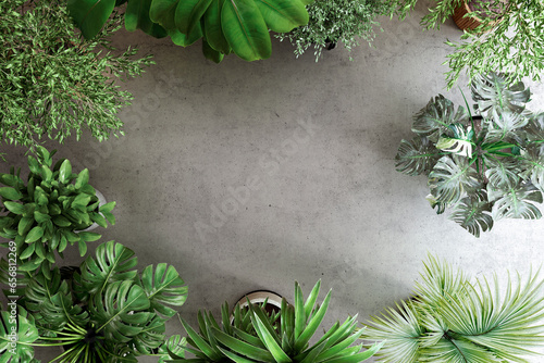 Background image of houseplants on a concrete floor