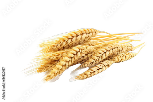 Wheat Grain Isolated
