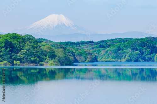 新緑の狭山湖と富士山2
