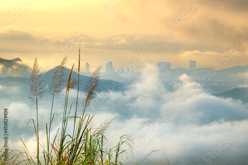 Wonderful dreamy sunrise on the rocky mountains  in the distance is a coastal city submerged in a sea of clouds