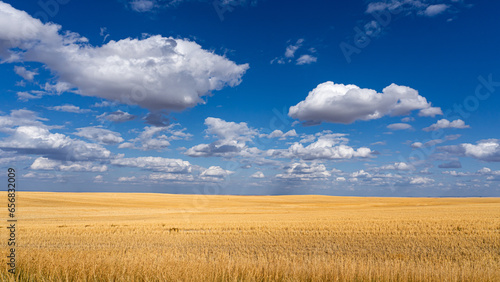Day on the Prairie 