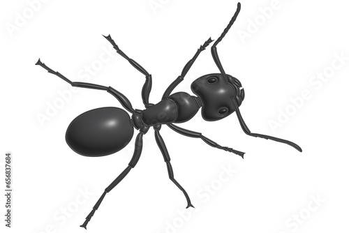 ant isolated on white background