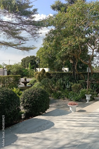 japanese garden in the garden