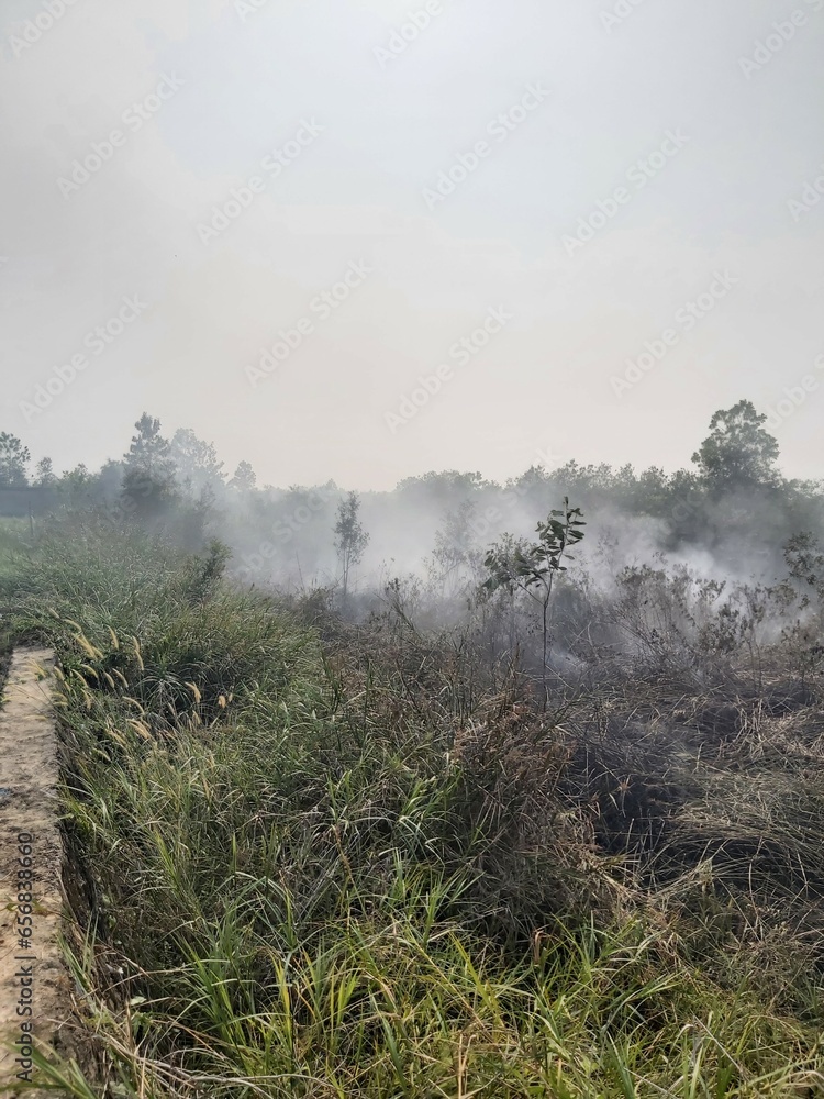 Dry land tropical forest fires that occurred in South Kalimantan, Borneo, Indonesia, source of smog. forest fires that always occur every year. stop global warming, cause of climate change. 