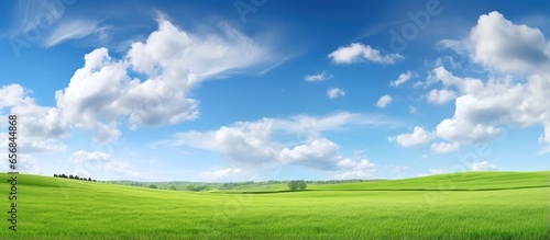 Spring meadow with green field and blue sky panoramic landscape view