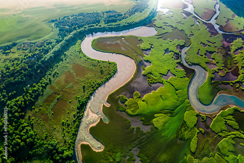 Aerial view of a river delta with lush vegetation and winding channels