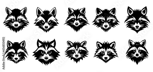 Raccoon head logo set - vector illustration, emblem design on white background.