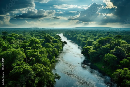 Aerial view of the Amazon river and the tropical rain forest © FrankBoston
