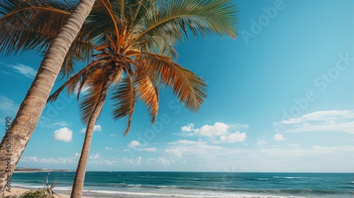 Palm trees on tropical beach with blue sky and white clouds. Beautiful sunset on the beach