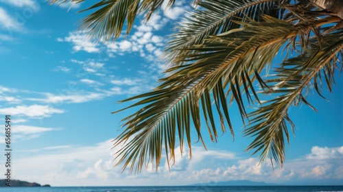 Palm trees on tropical beach with blue sky and white clouds. Beautiful sunset on the beach