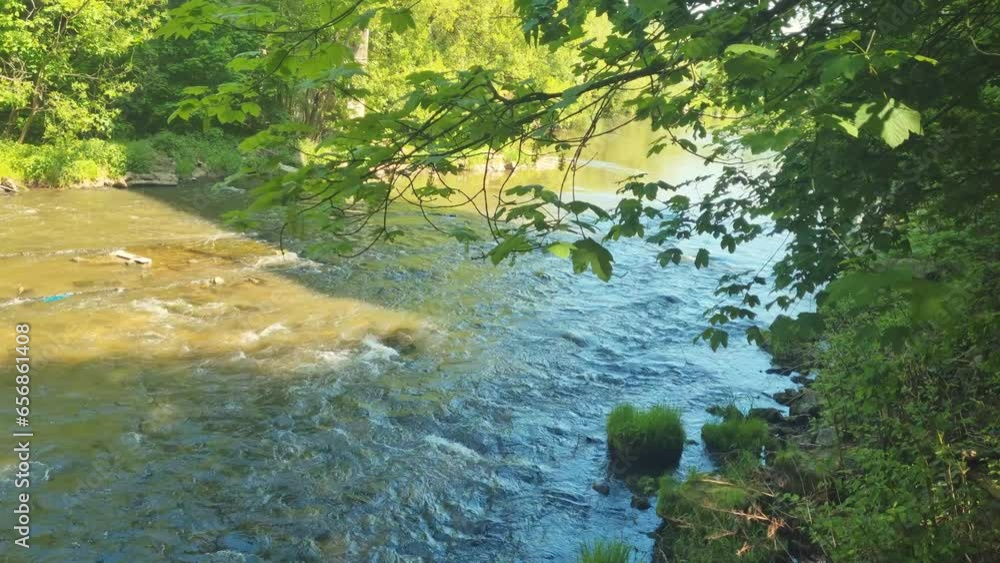Beautiful view of a small river and green trees Beautiful view of a small river and green trees