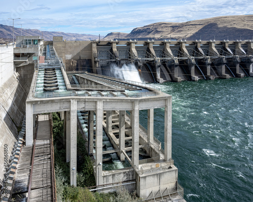 Fish Ladder at John Day Dam provides passage upstream for Salmon, Steelhead, Sturgeon, and Eel in the Columbia River.