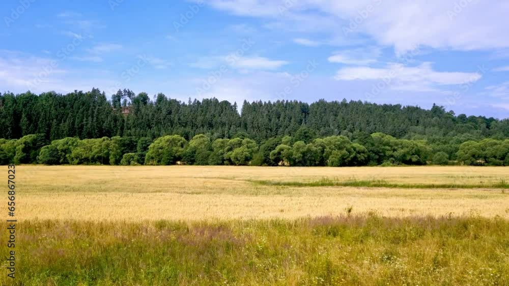 Scenic views of green trees and yellow fields Scenic views of green trees and yellow fields