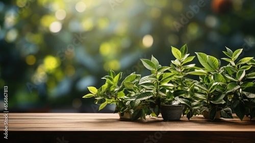 wooden table green wall background with blurred indoor green plants foreground.