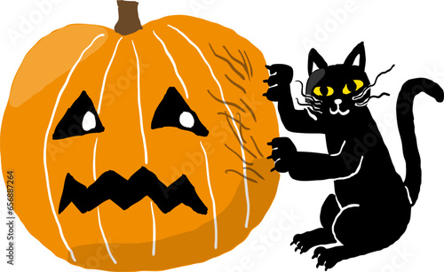 ハロウィーンのかぼちゃで爪研ぎをする黒ねこ