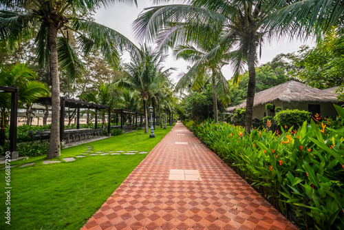 Some pictures of Ho Coc tourist area, small landscapes in Ho Coc tourist area, houses, coconut trees, beautiful lawns