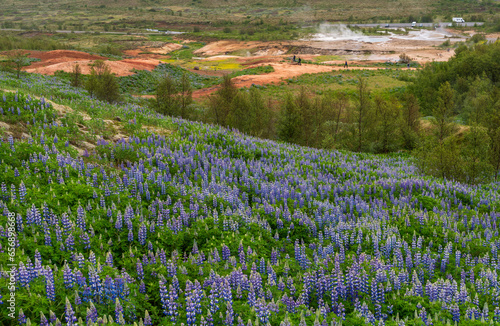 Geysir Hot Springs in Haukadalsvegur, Iceland photo