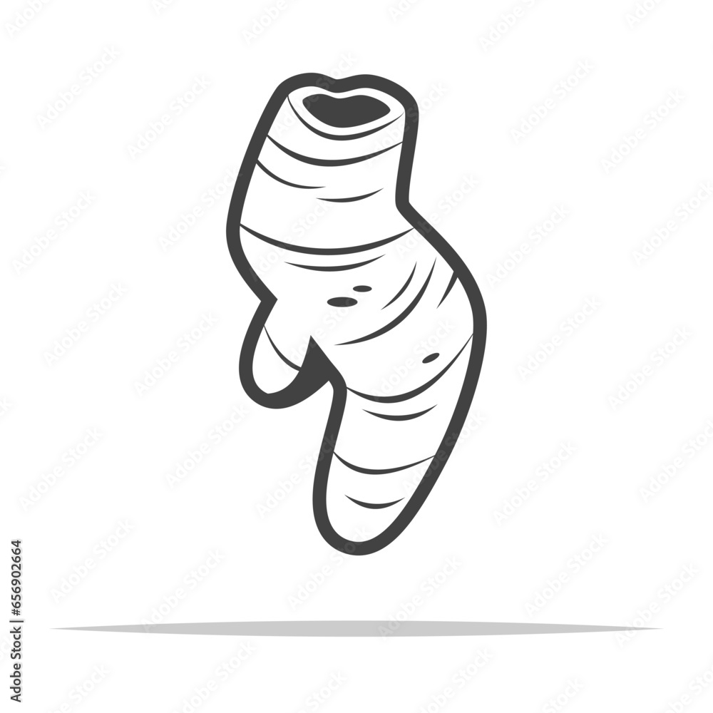 Turmeric root icon transparent vector isolated Stock Vector | Adobe Stock