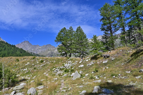 L'altipiano del Parco Naturale Alpe Veglia e Alpe Devero, Valle d'Ossola - Piemonte photo