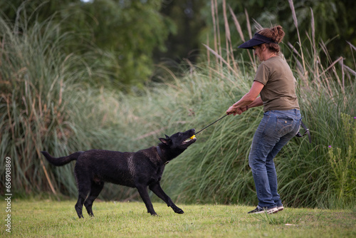 Great and amazing dog raze Black Malinois