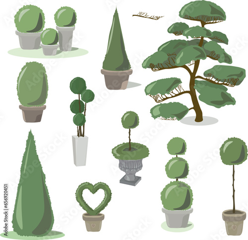 Garden elements topiary forms of trees and bushes