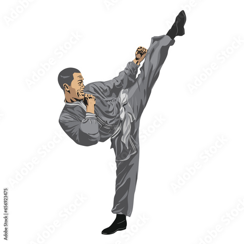 A man guy shows a kick in a wushu taekwondo karate stance. Vector graphics illustration