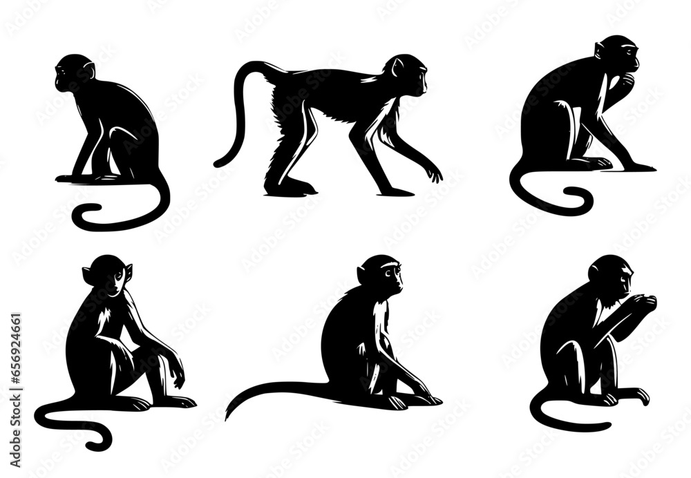 set of monkey silhouettes on isolated background - obrazy, fototapety, plakaty 