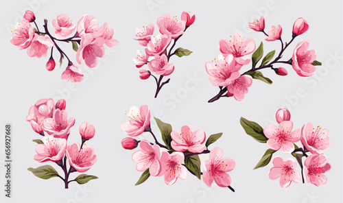 set of pink flowers photo