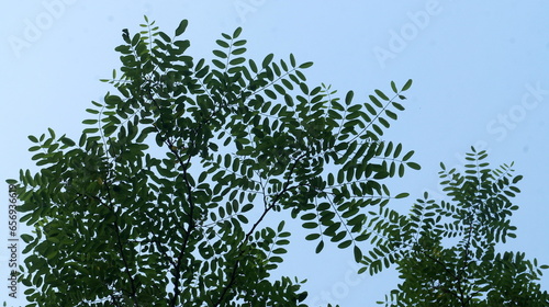 any given summer day