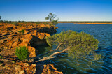 Shore of a small lake in the Western Australian outback, gnarled eucalyptus hanging over the water, rocks a  vivid reddish brown in the setting sun. Niagara Dam Nature Reserve, Menzies.
