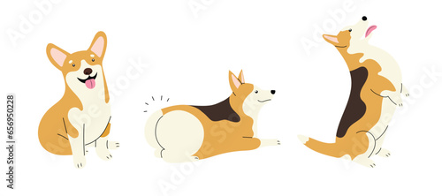 Set with three adorable corgi breed dogs, performing commands. Hand drawn isolated vector illustration in flat design