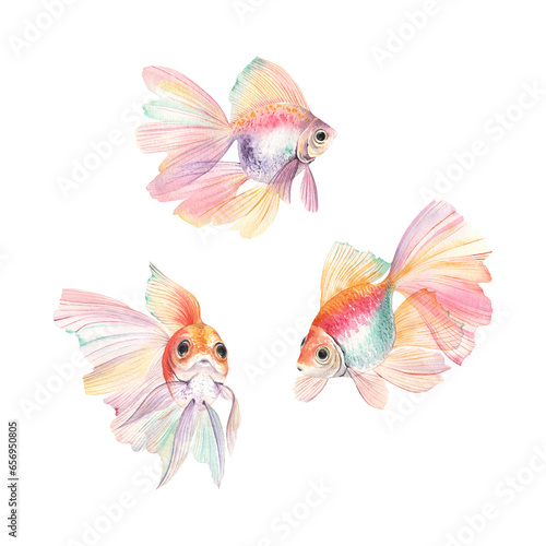 Colorful fishes set, watercolor isolated abstract fishes for your design, animal hand-drawn collection. © Nikole