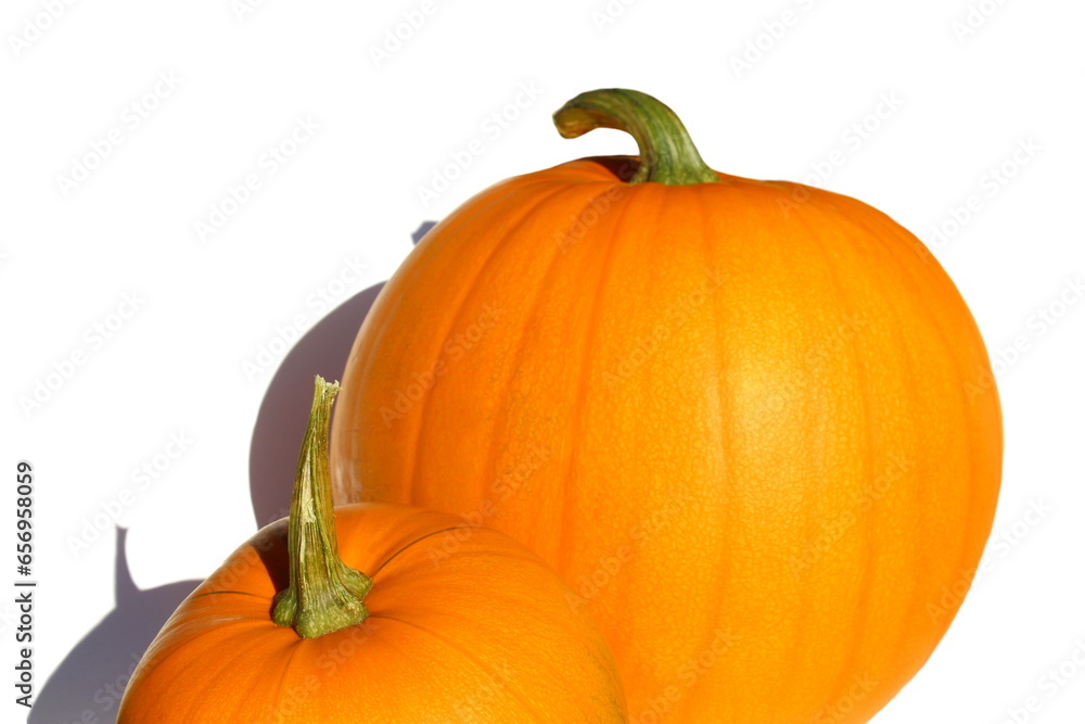 Obraz premium Yellow pumpkin stands on a white isolated background. 