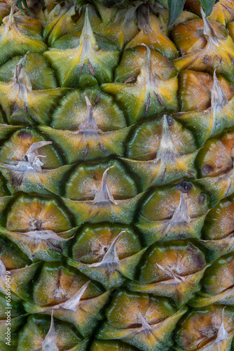 Close up of the structure of the outer shell of a pineapple