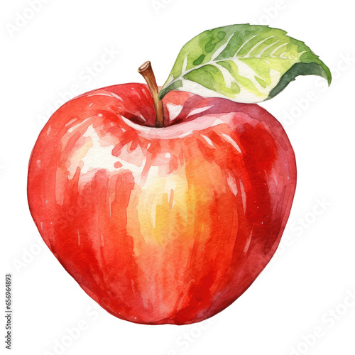 Watercolor Apple hand drawn Apple vector illustration, red Apple isolated on white background