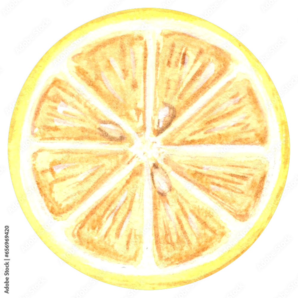 Watercolor drawing of a cut round yellow lemon slice Hand drawn illustration on a white background for your design, decorating invitations and cards, making stickers, embroidery scheme, packaging Watercolor drawing of a cut round yellow lemon slice Hand drawn illustration on a white background for your design, decorating invitations and cards, making stickers, embroidery scheme, packaging