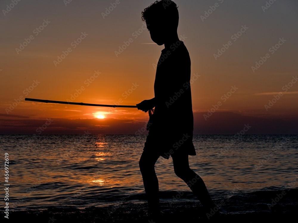 Silhouette of a boy with a butterfly net against the backdrop of sunset.