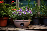 A small covert listening device is cunningly hidden within the soil of a flower pot, capturing conversations in a private residence